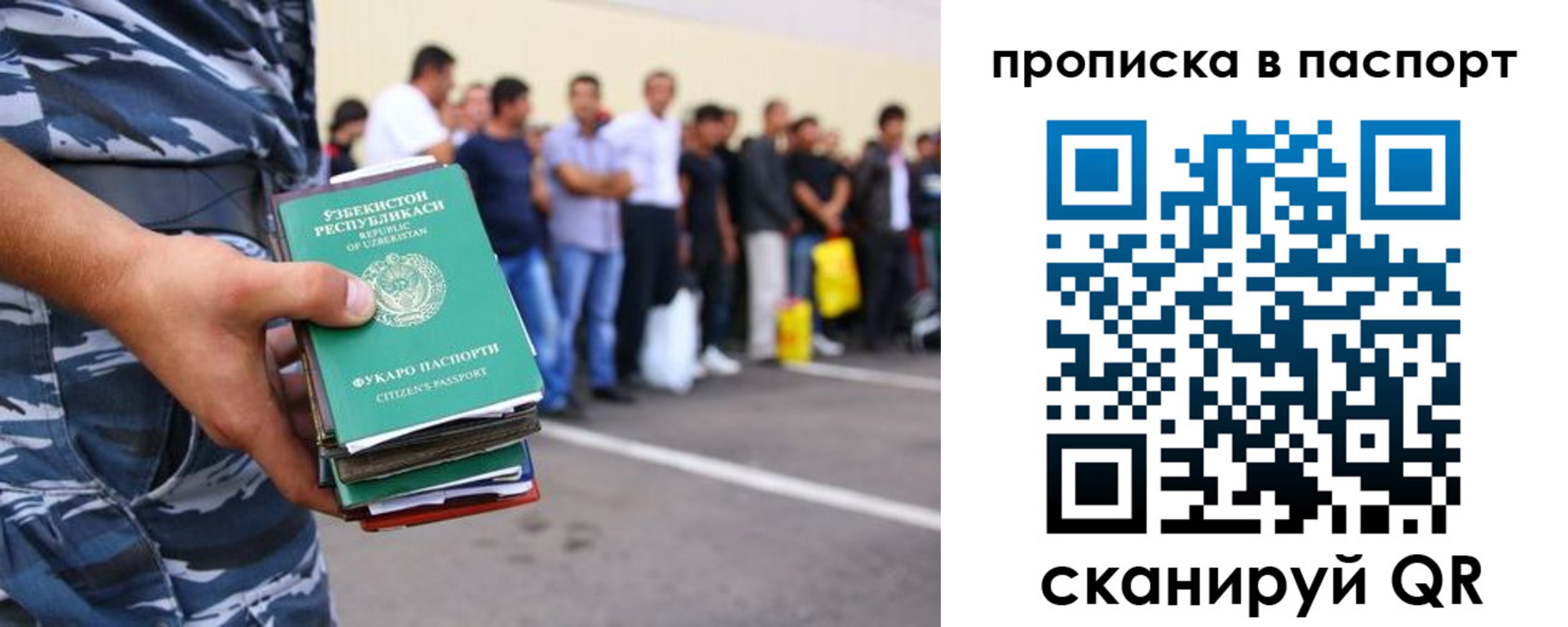 прописка в квартире в Коле